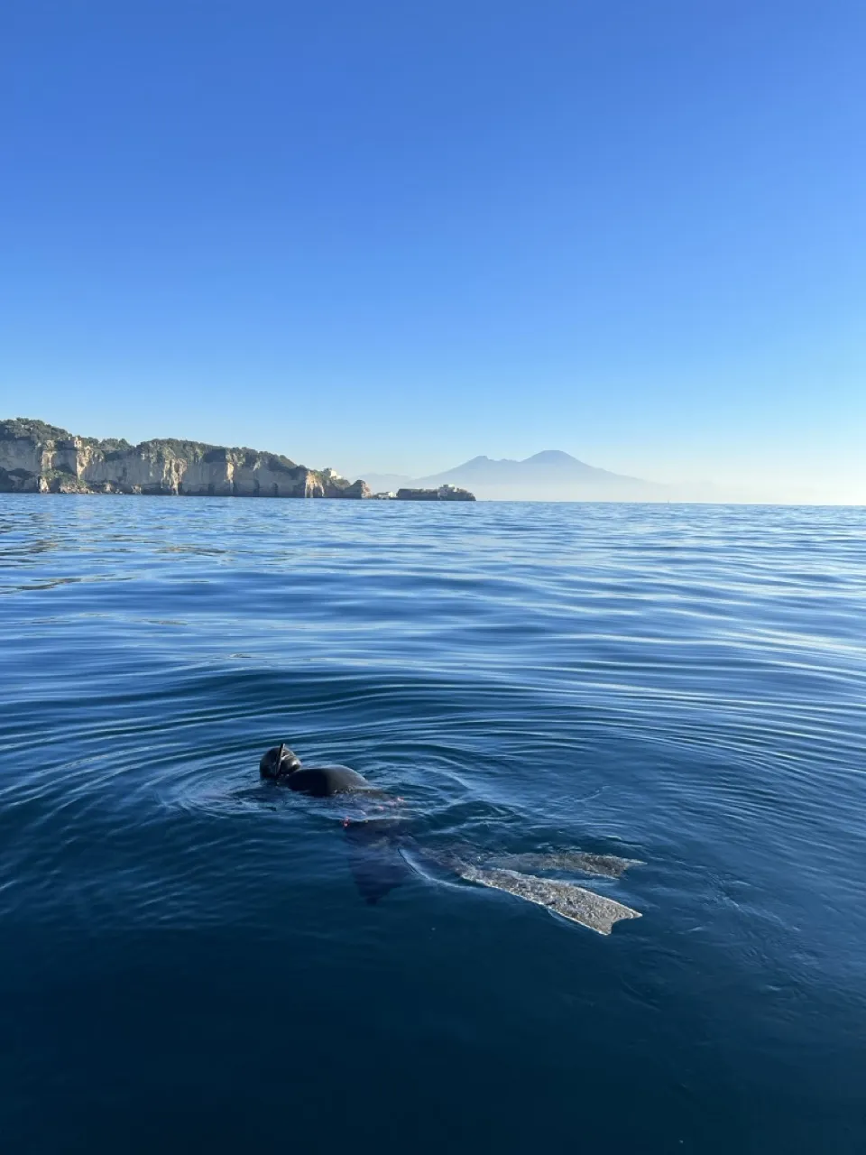 Come iniziare a fare apnea